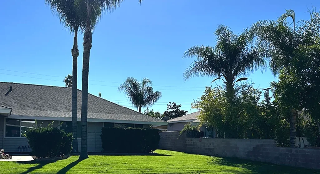 artificial turf installed