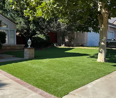 artificial grass in yard