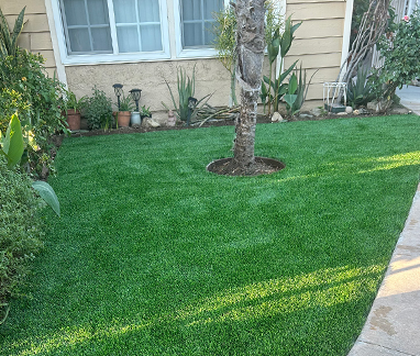 artificial turf around tree