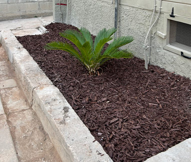 mulch outside house