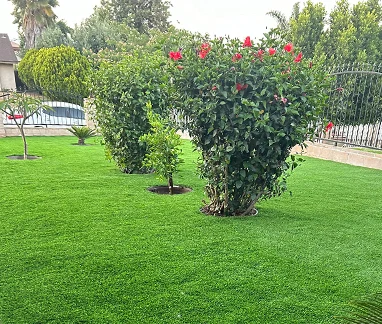 plants and artificial grass