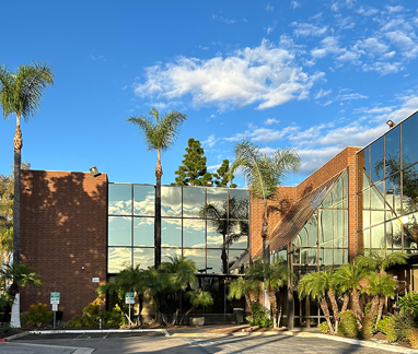 trees in front building